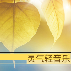 国产精品日韩精品欧美精
